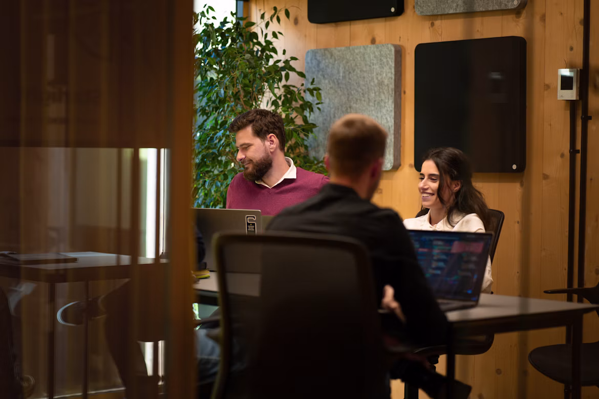 Software development team
